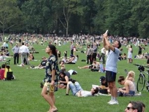 nyc parks nyc sports events nyc environment new york city ny