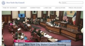 NYC Politics &amp; Government / The de Blasio Years: 2013 - 2021