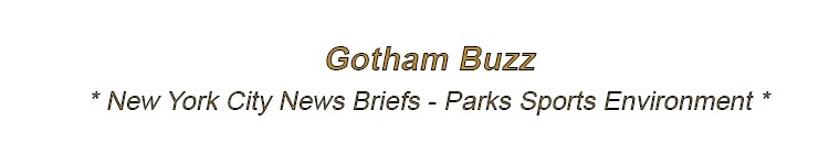 new york city news briefs parks sports environment nyc nys