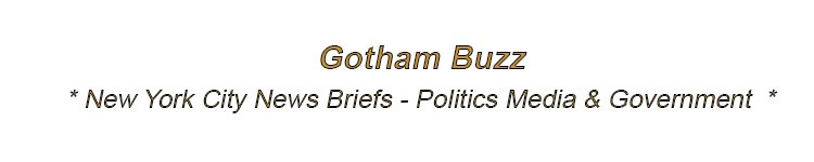 new york city politics media government nyc