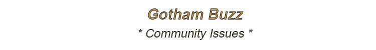 new york city community issues nyc crime nyc schools new york city healthcare nyc
