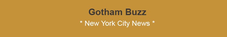 new york city news nyc new york city news websites newspapers nyc