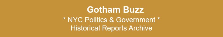 bronx politics government nyc mayor nyc council borough presidents bx nyc
