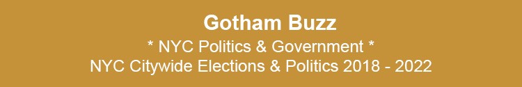 bronx politics government nyc borough presidents governance bx nyc