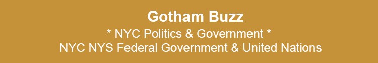 nyc politics government nyc nys usa representation 