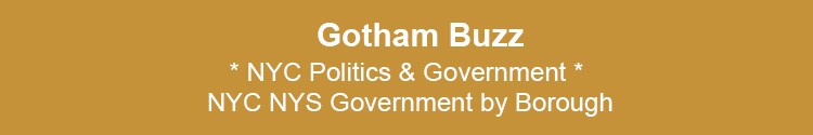 staten island politics government recent political news si nyc
