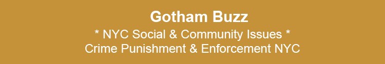 nyc social community issues crime punishment enforcement prevention nypd nyc nys govt nyc 