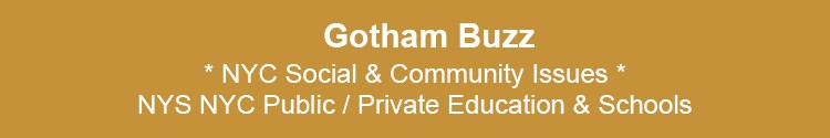 nyc community social issues private public education schools nyc 