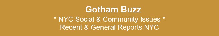 nyc community social issues nyc